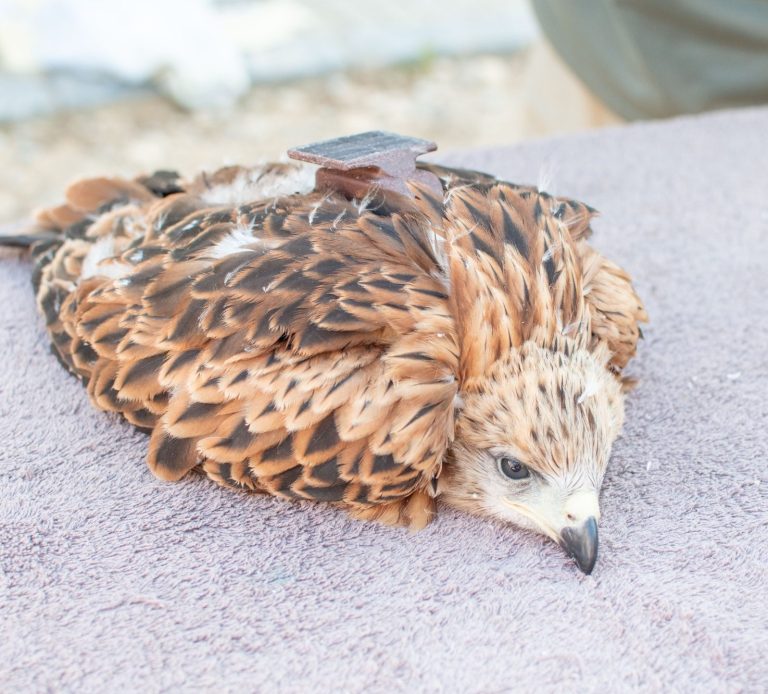 Fotografía de Jorge Blanco