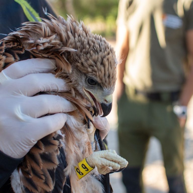 Fotografía: Jorge Blanco